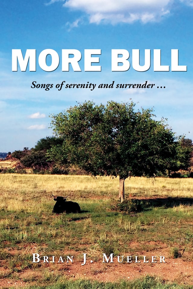 Cover of More Bull: Songs of serenity and surrender